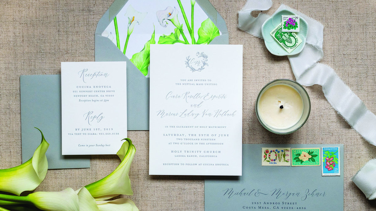 Essay on purity image