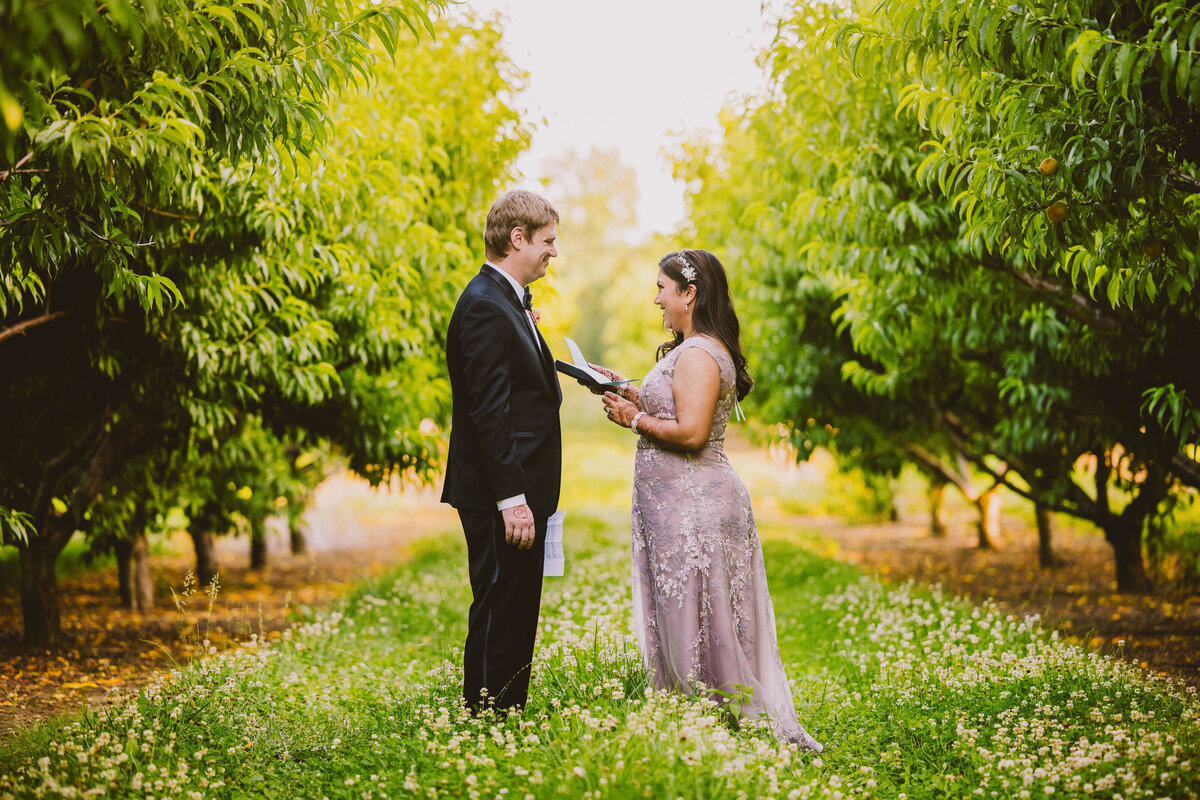 Bride and groom exchange vows at the vineyard at johnsons locust hall farm in nj