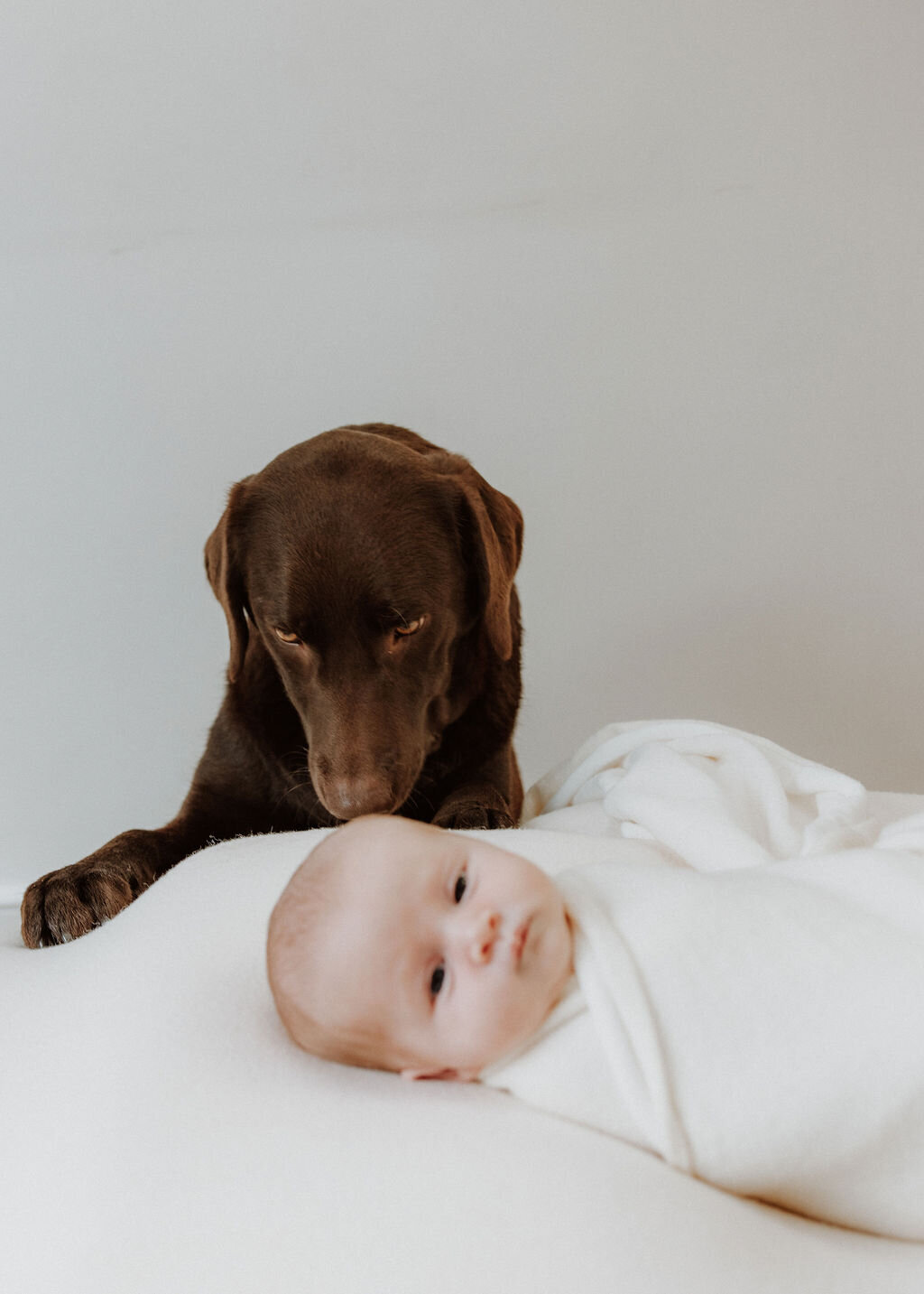 London-Surrey-In-Home-Newborn-Photographer-Hanna-Ali-17