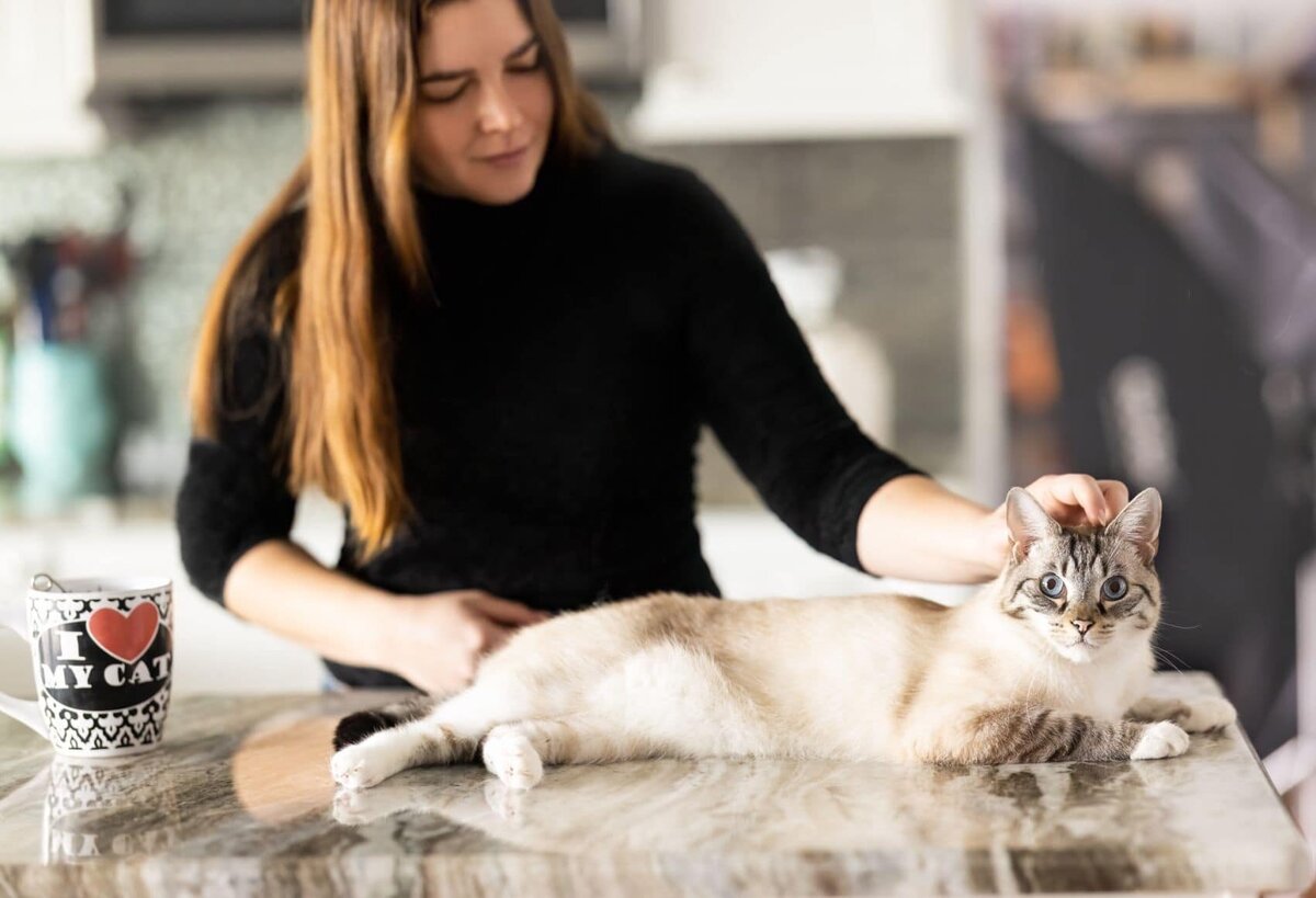 lilla-bordas-portraits-tampa-CAT-photographer1269