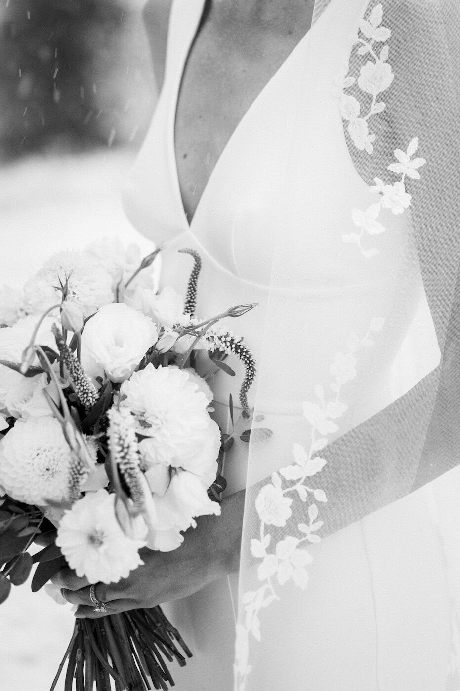 C&CWed-647
