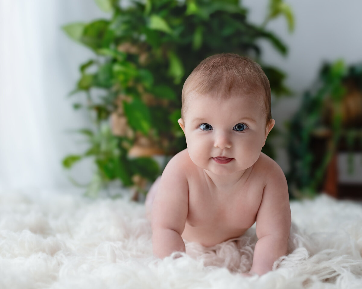 Bright-eyed baby during tummy time on fluffy blanket—styled with natural greenery and sunshine.