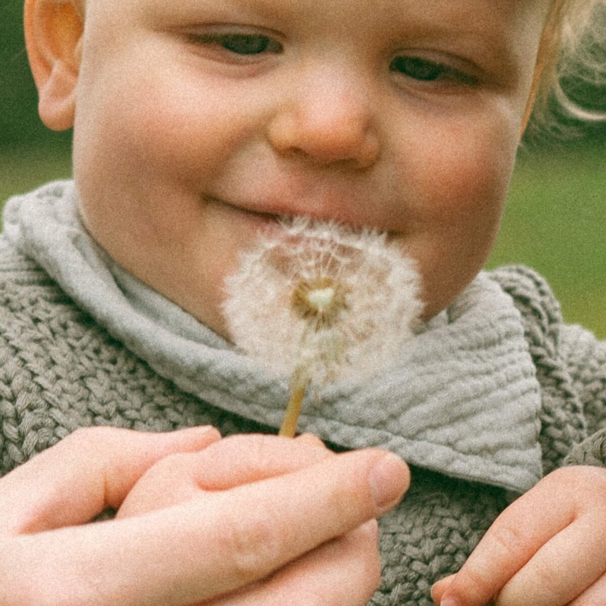 family-adventure-photos-snoqualmie