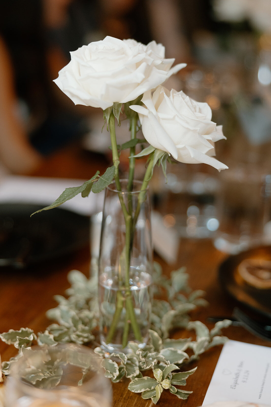 Erin of Boston Photography Boston Wedding Photographer, Boston Elopement Photographer, New England Wedding Photographer, Berkshires Wedding Photographer, Cape Cod Wedding Photographer Boston Engagement Engagements Erin DeFuria148