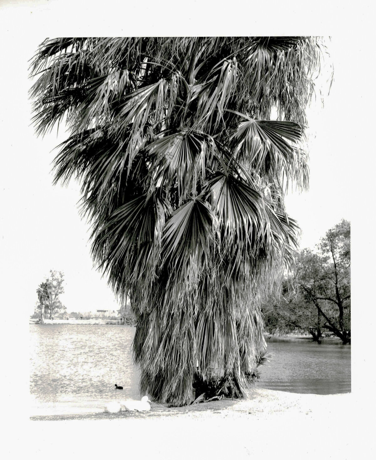 darkroomprintscan-73