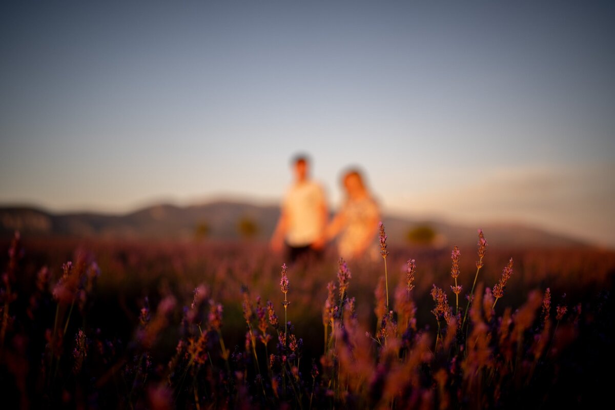 Provence_Proposal_Lavender-Valensole_0042