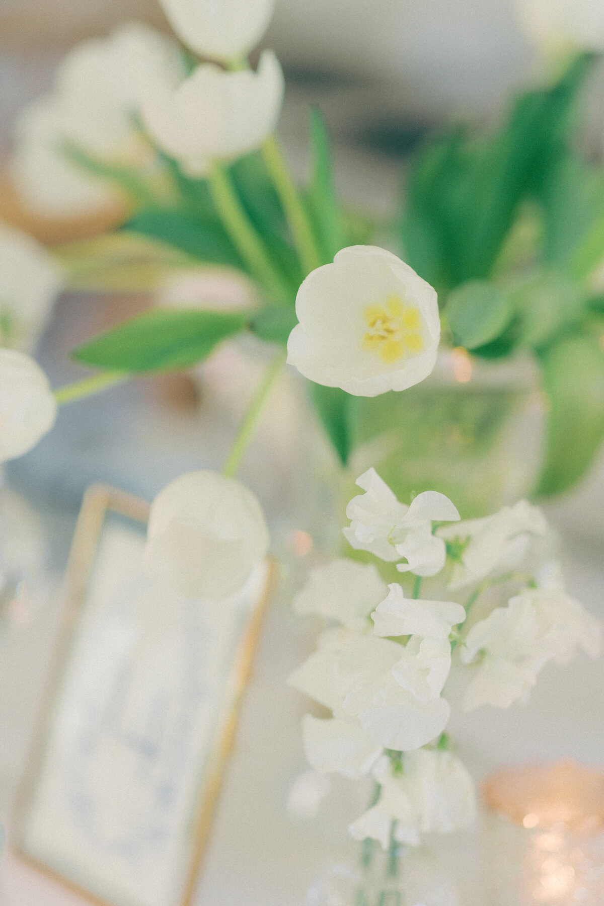 Rachel Linder Photography_SP-91