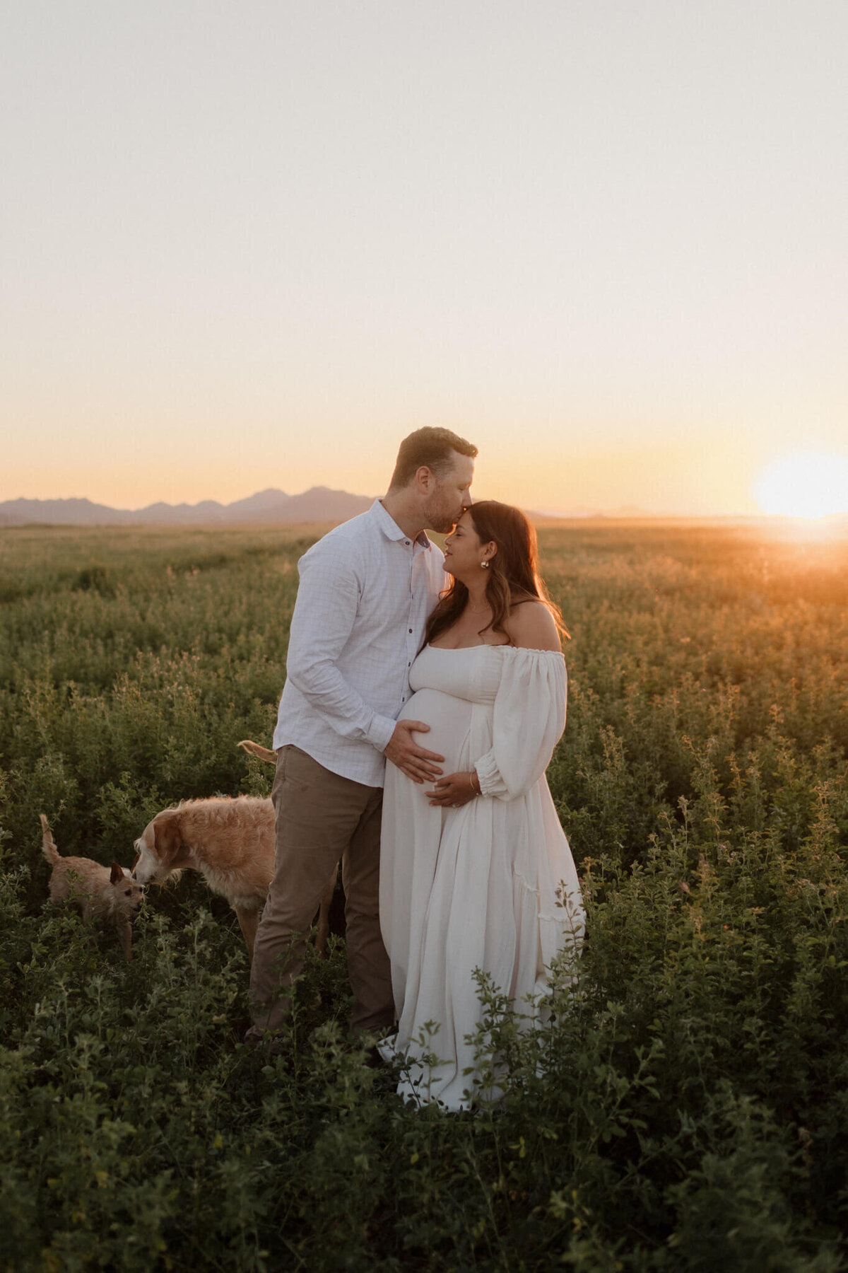 Phoenix-Maternity-Photographer-14