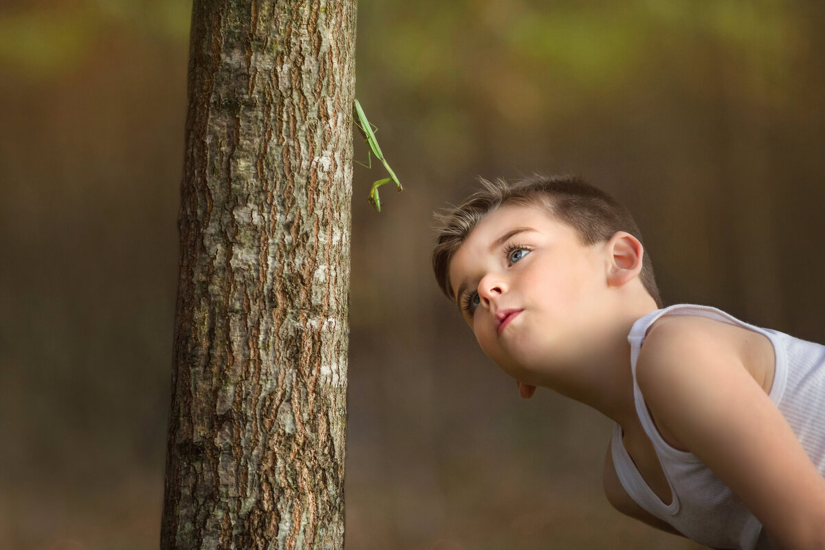 Child  looks at nature during an outdoor family session at Veterans Park in Hamilton, New Jersey
