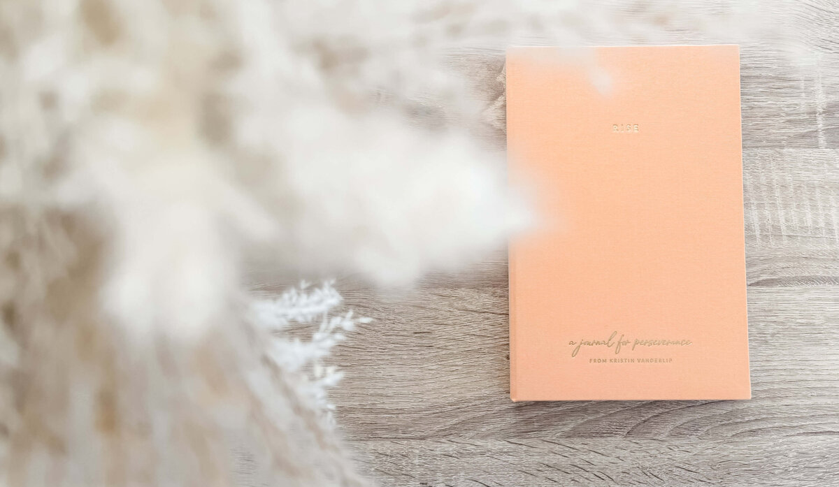 rise_journal_landscape_soft