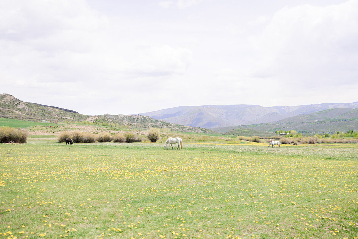 brooke-nash-photography-aspen-colorado-engagement-session-46