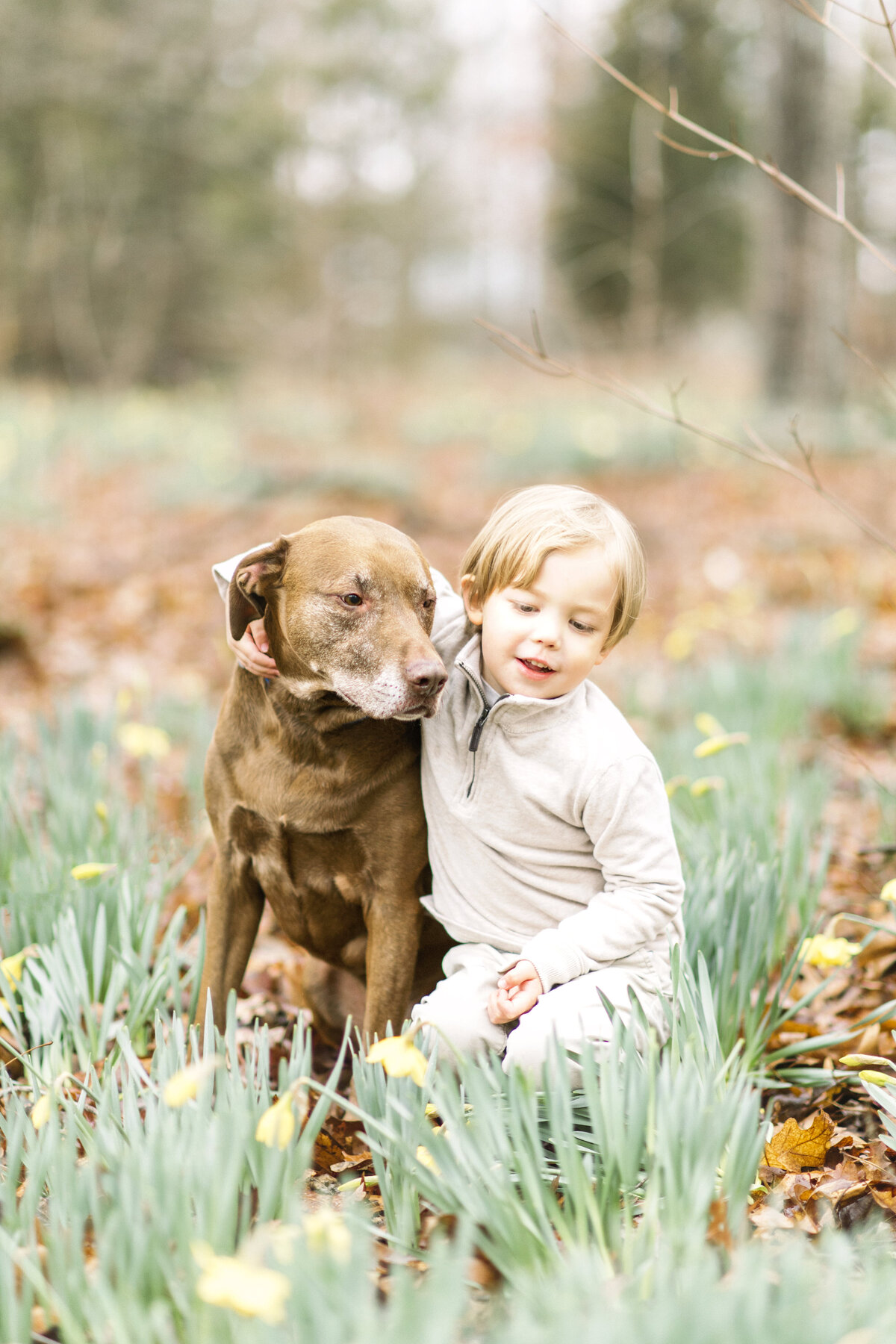 James-Daffodils__Winston-Salem_North-Carolina_2022-02-24_051 copy