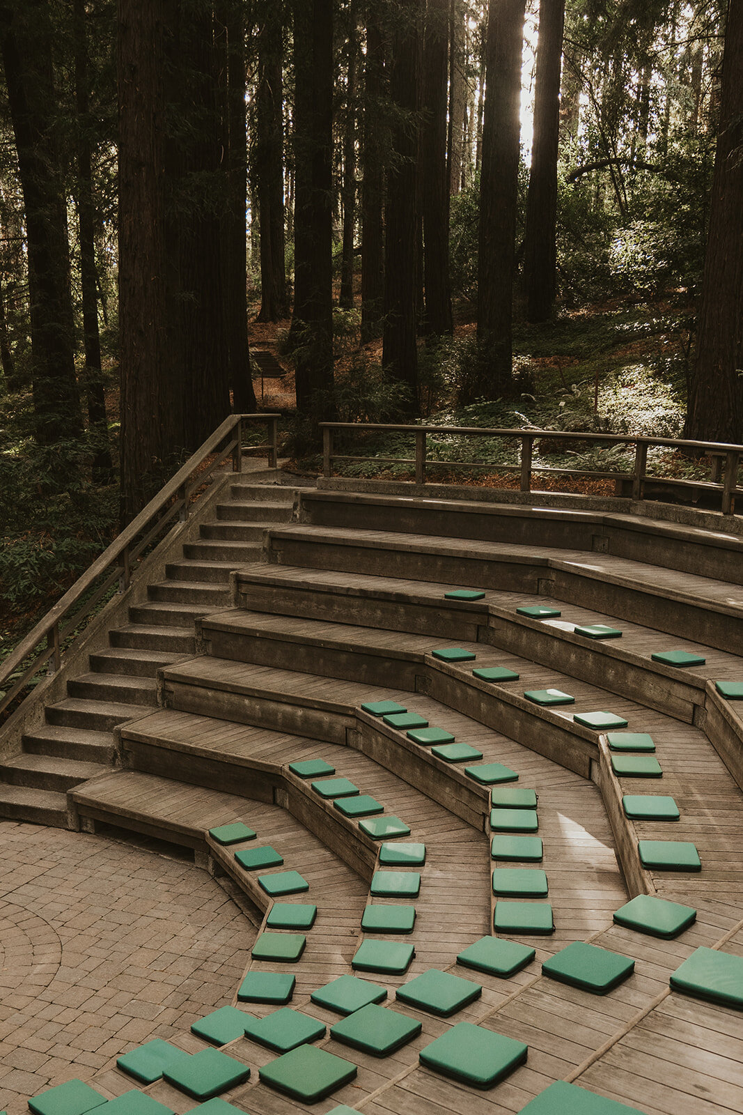 Bex-Scott-University-of-Berkeley-Botanical-Gardens-Wedding-Photography-505