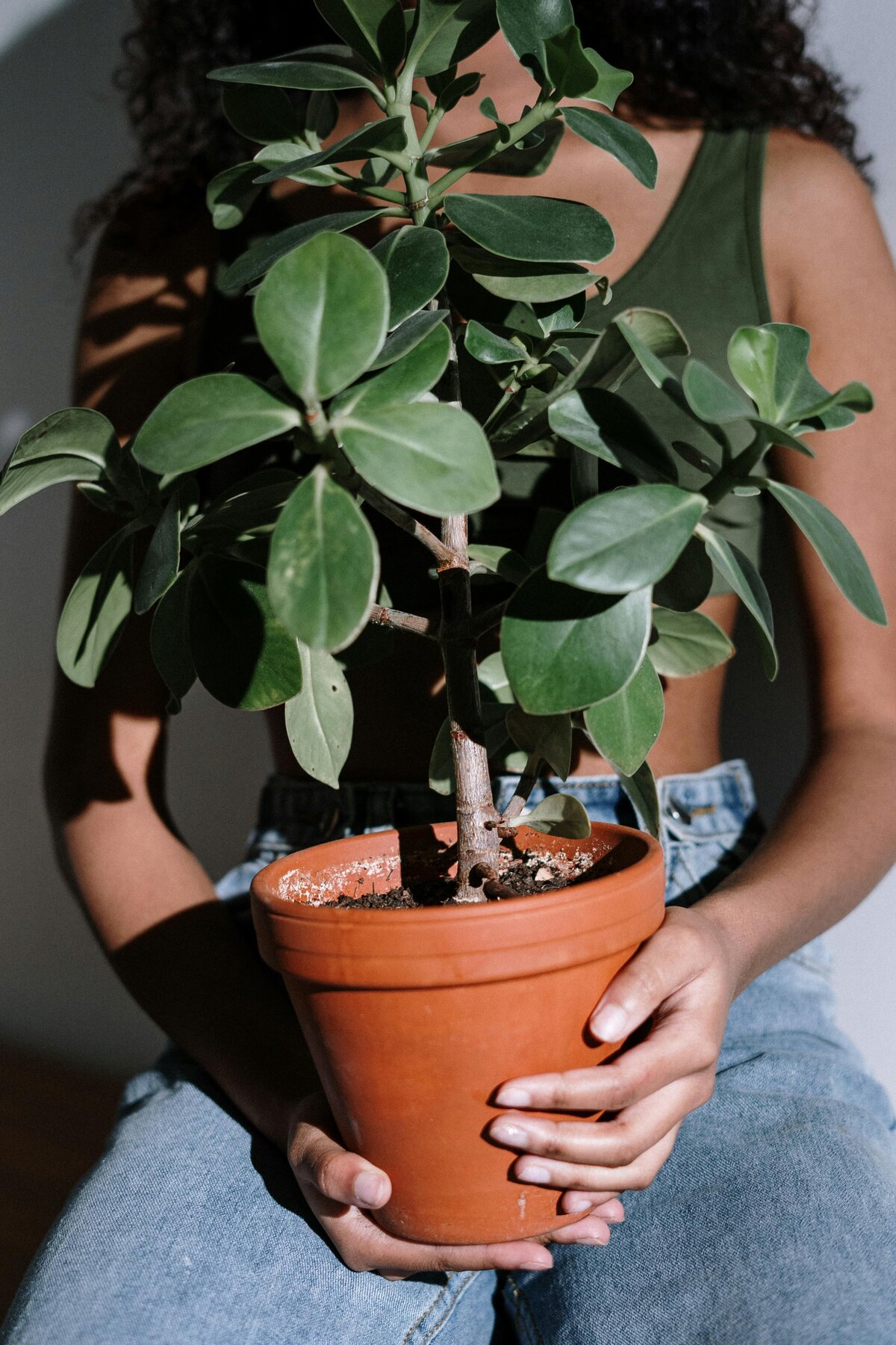 pexels-cottonbro-4505447