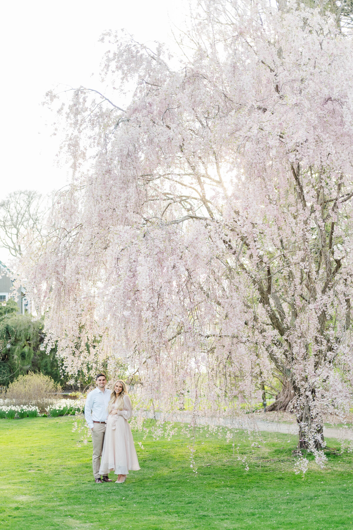 Husband and wife standing by gorgeous blooming tree in Bristol, RI at Blithewold Mansion taken by best Maternity photographer in Rhode Island