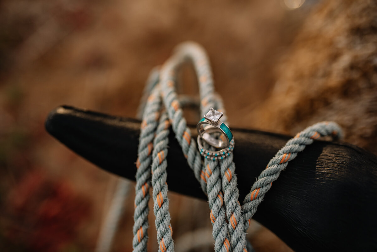 wedding ring flatlay on horse rope