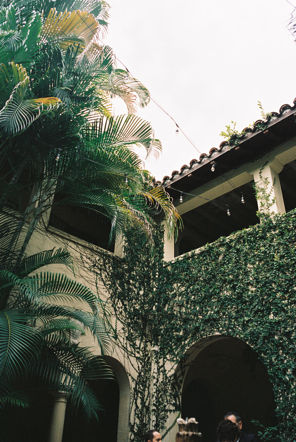 A film photo at Villa Woodbine captured by a photographer in Tampa, Florida.