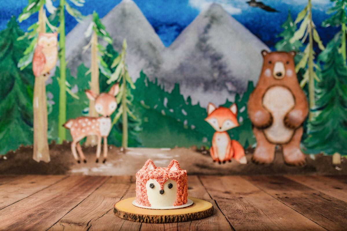 Huntsville AL Cake Smash Photographer