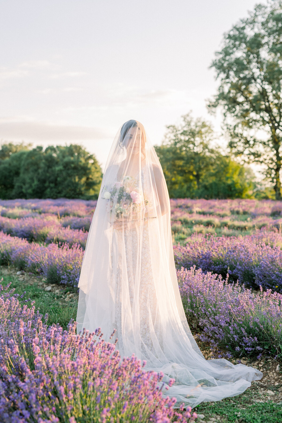 provence lavender photoshoot bride sunset