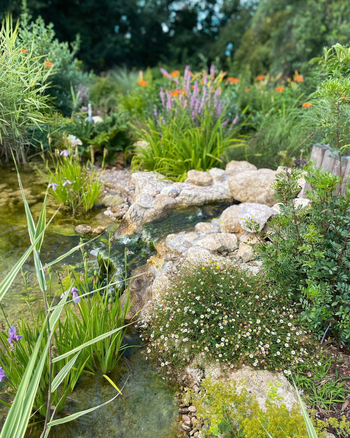 Bassin Thierry (3)-min