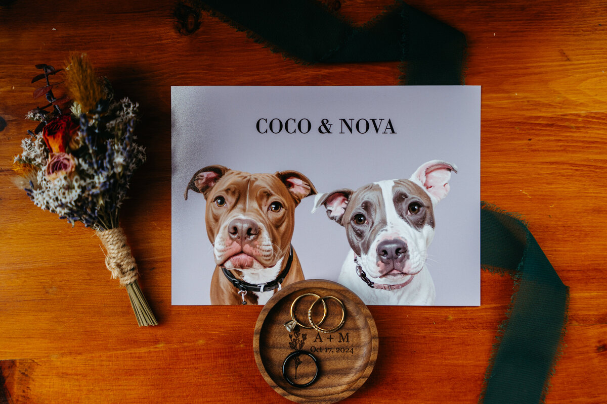 Digitally painted portraits of dogs Coco and Nova for couples Dolomites elopement