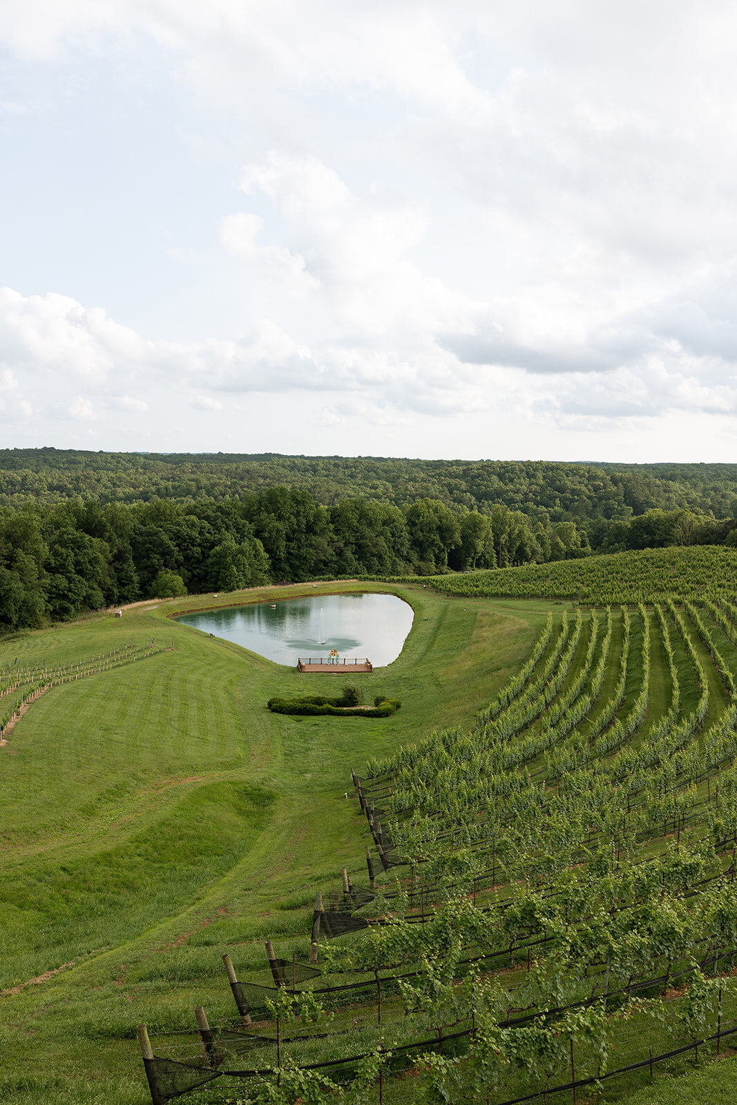 Montalucewinery Editorial Spainwedding Tuscanywedding Atlantaweddingphotographer  (418 of 446)