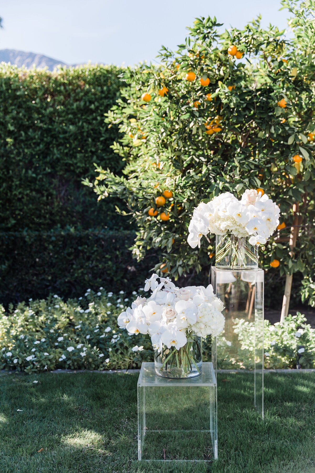 AbieLivesayPhotography-PalmSpringsWeddingPhotographer-KristenPhilPV-26