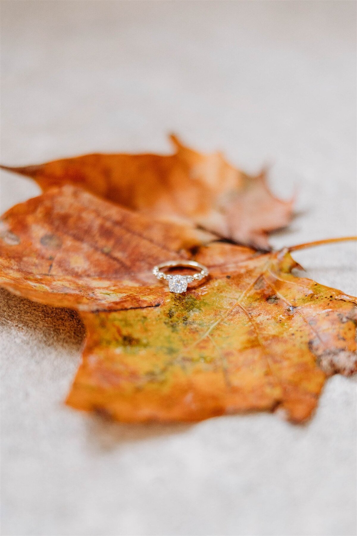 135_LegendAndLaceStudios_Simpson_Engagement