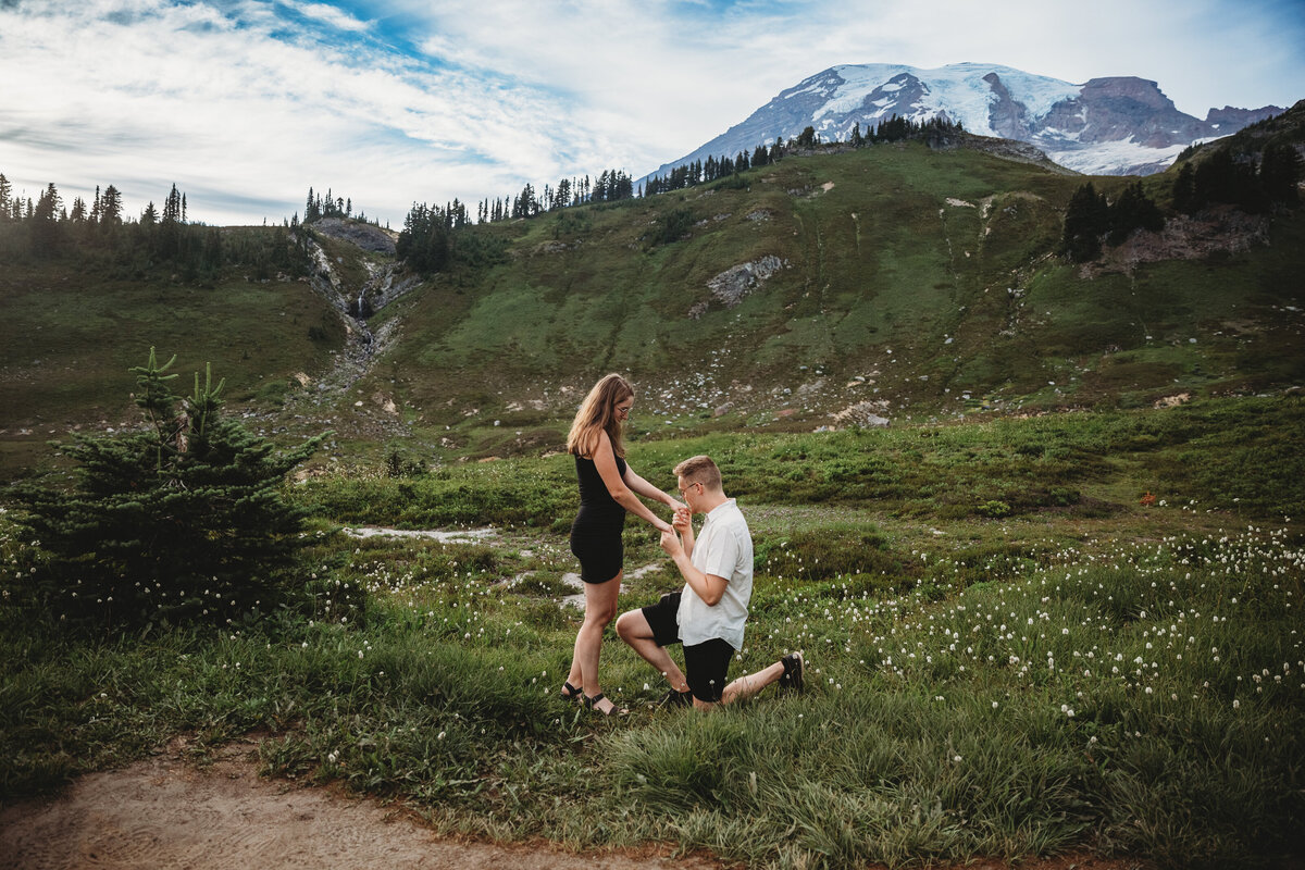 Mt Rainier Proposal-3