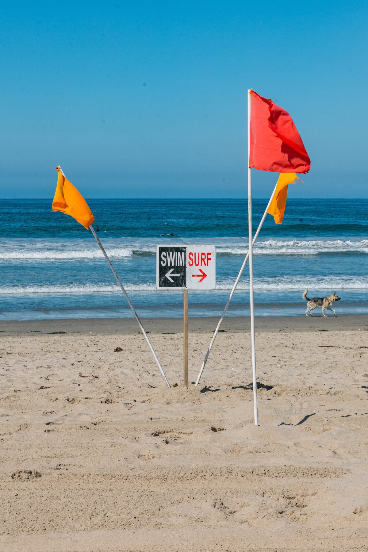 Baddass-Surf-School-Venice-Breakwater-Jyl-2024-0018