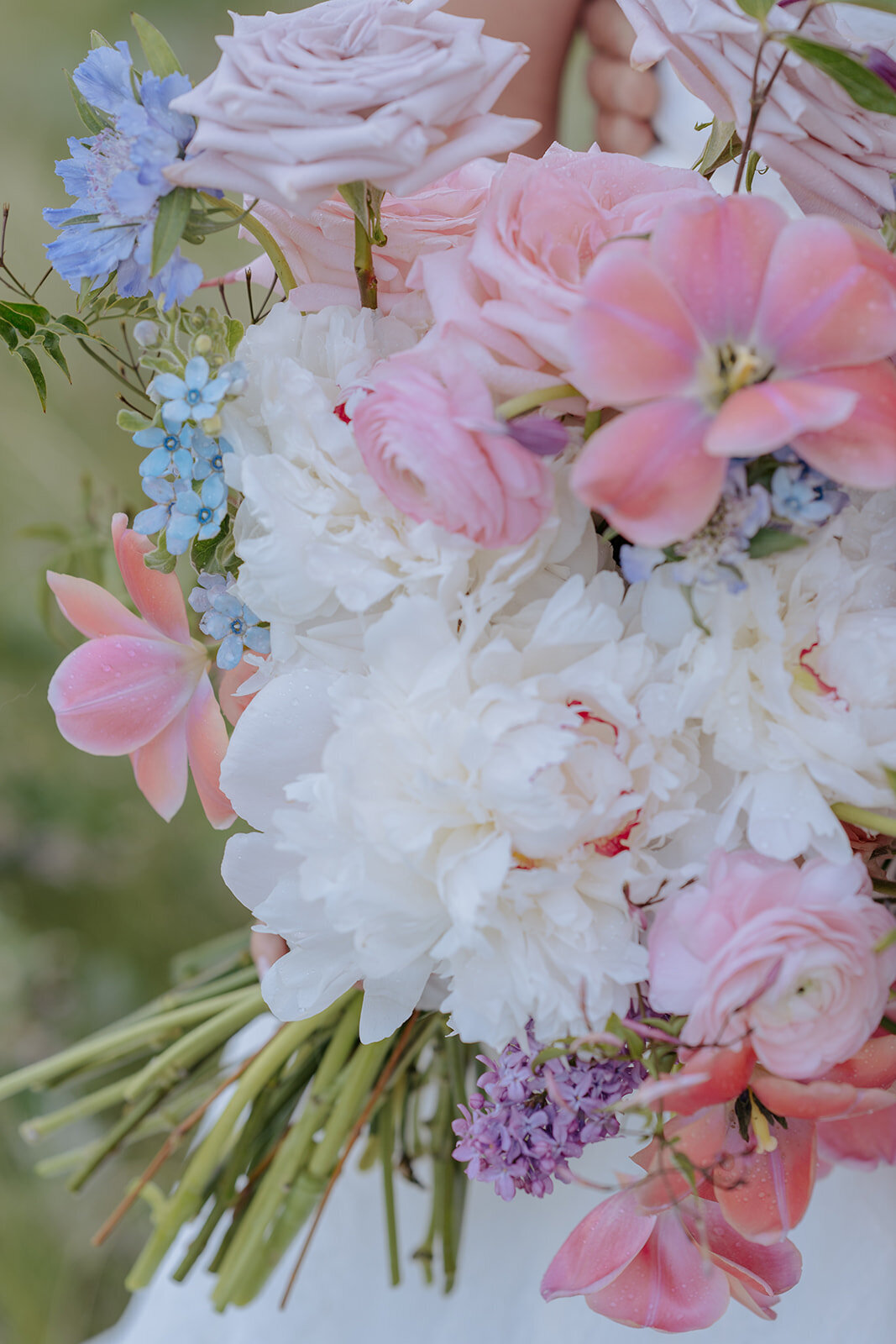 Carly-Patrick-Sheridan-Wyoming-Elopement-181