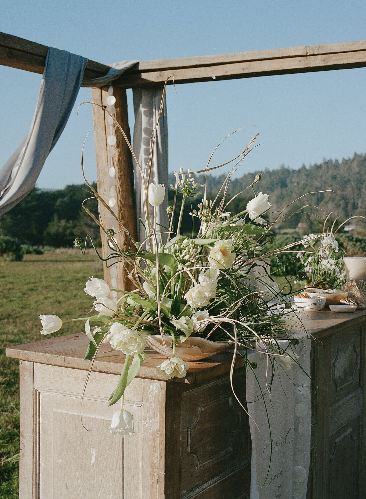 sea ranch film-Mariah Jones Photography-25 2