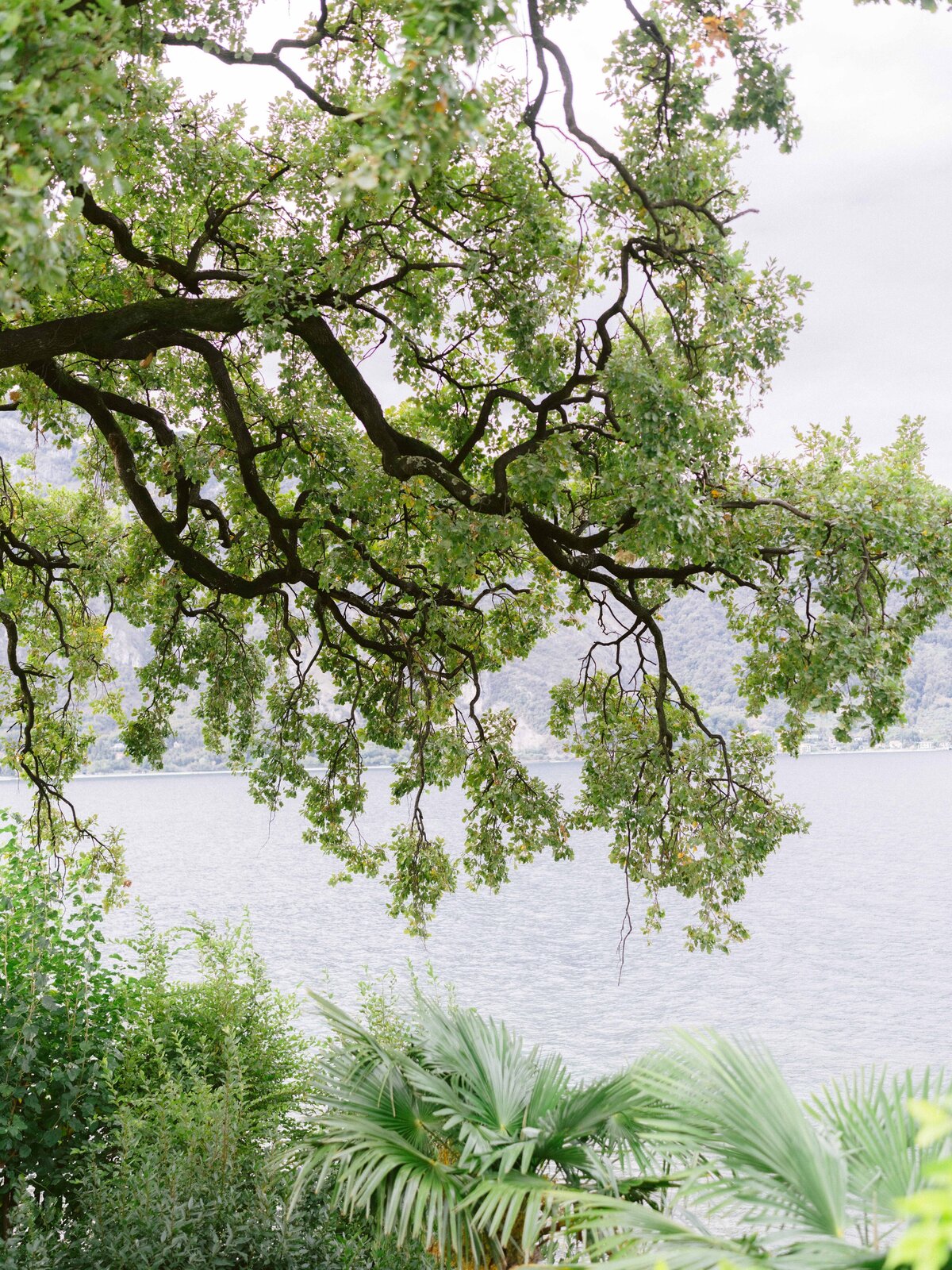 Como-site-2