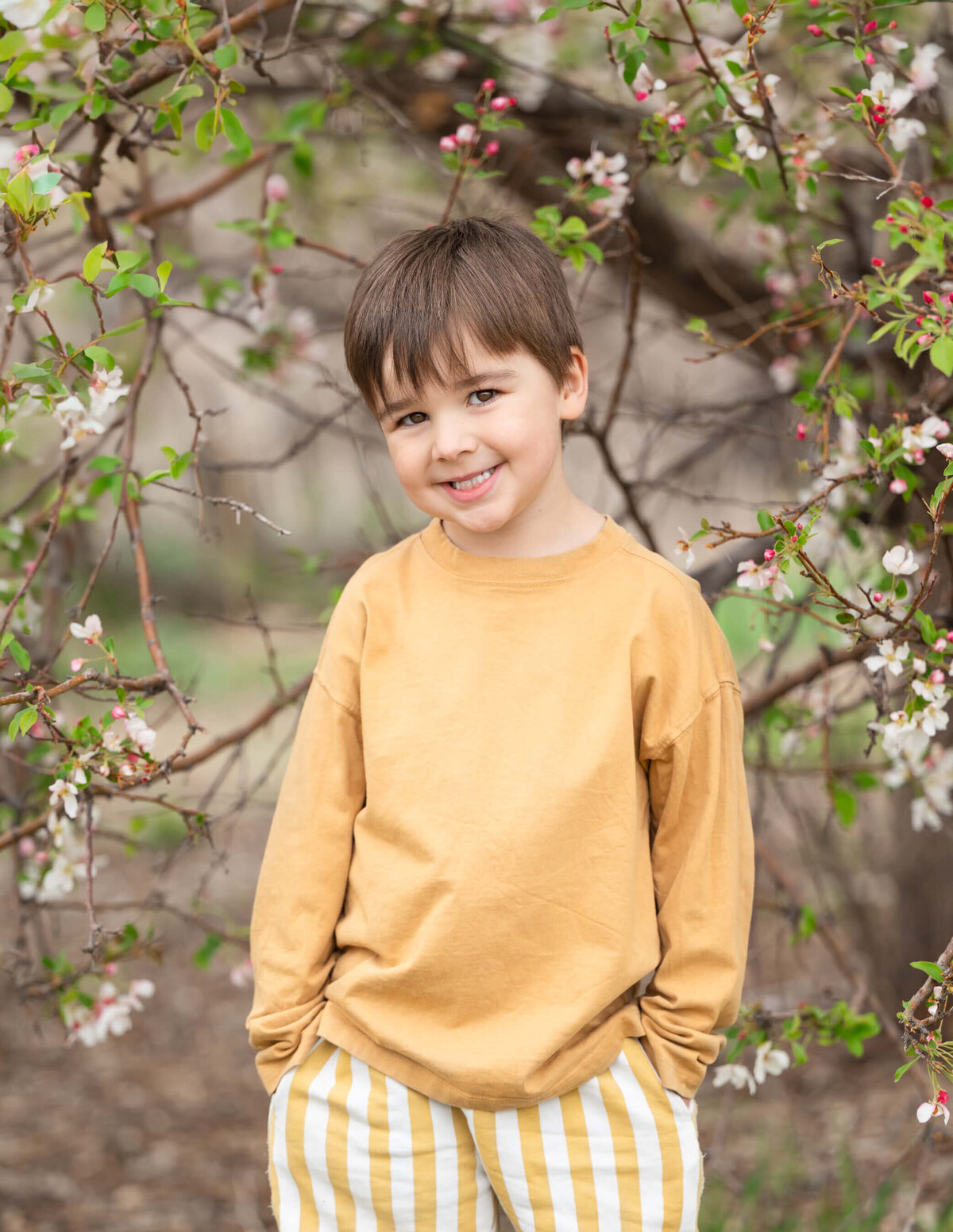 denver-child-photographer-8