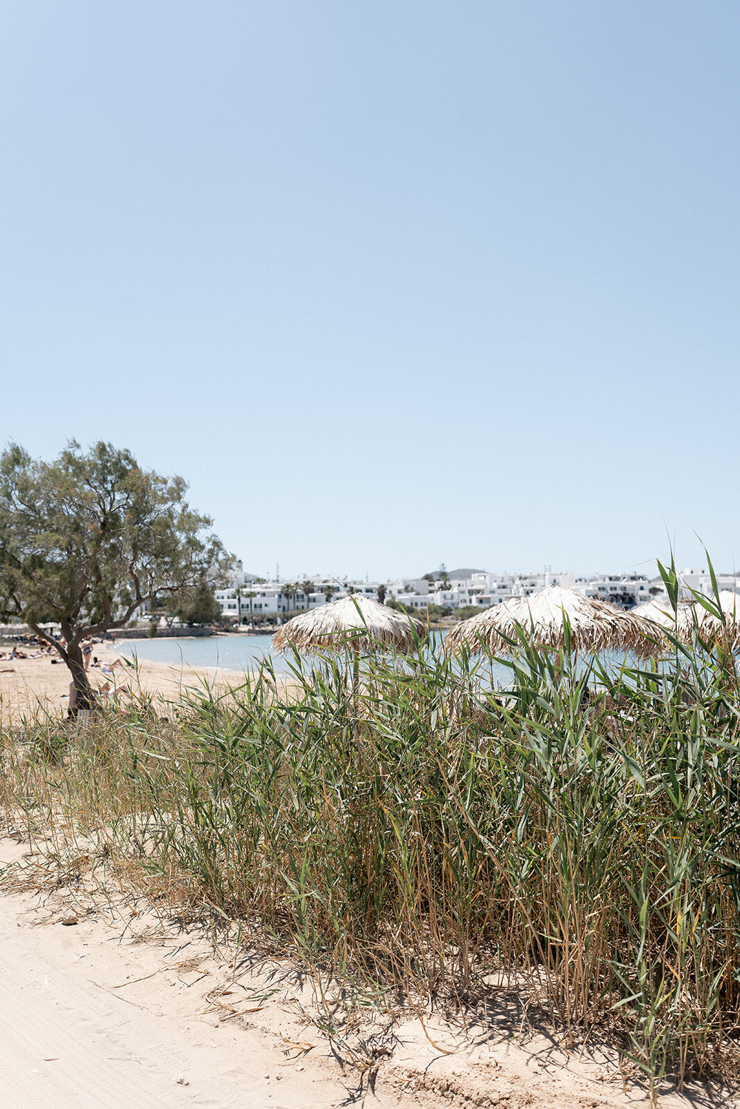 Hannah Malloy East Coast Wedding Photographer