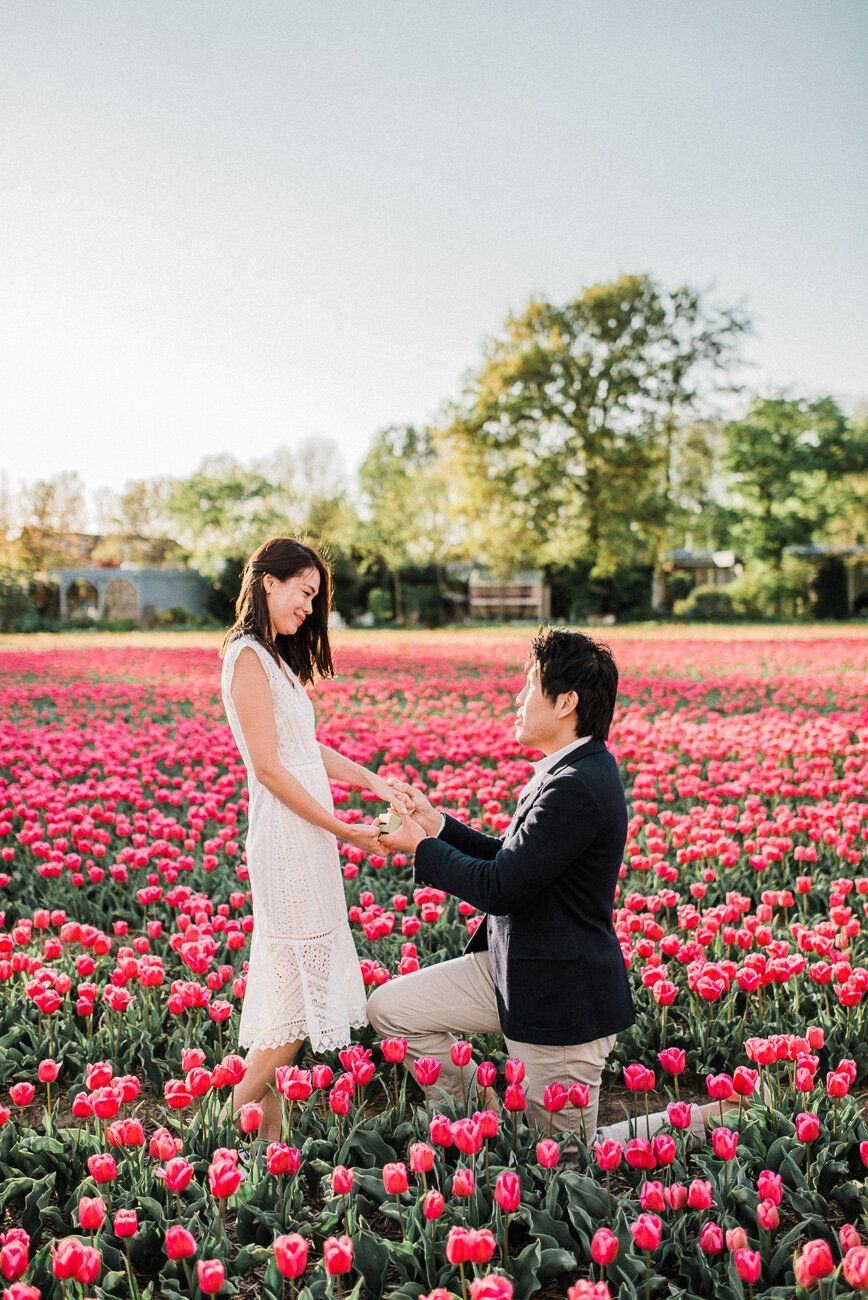 marriage-proposal-tulip-field-045