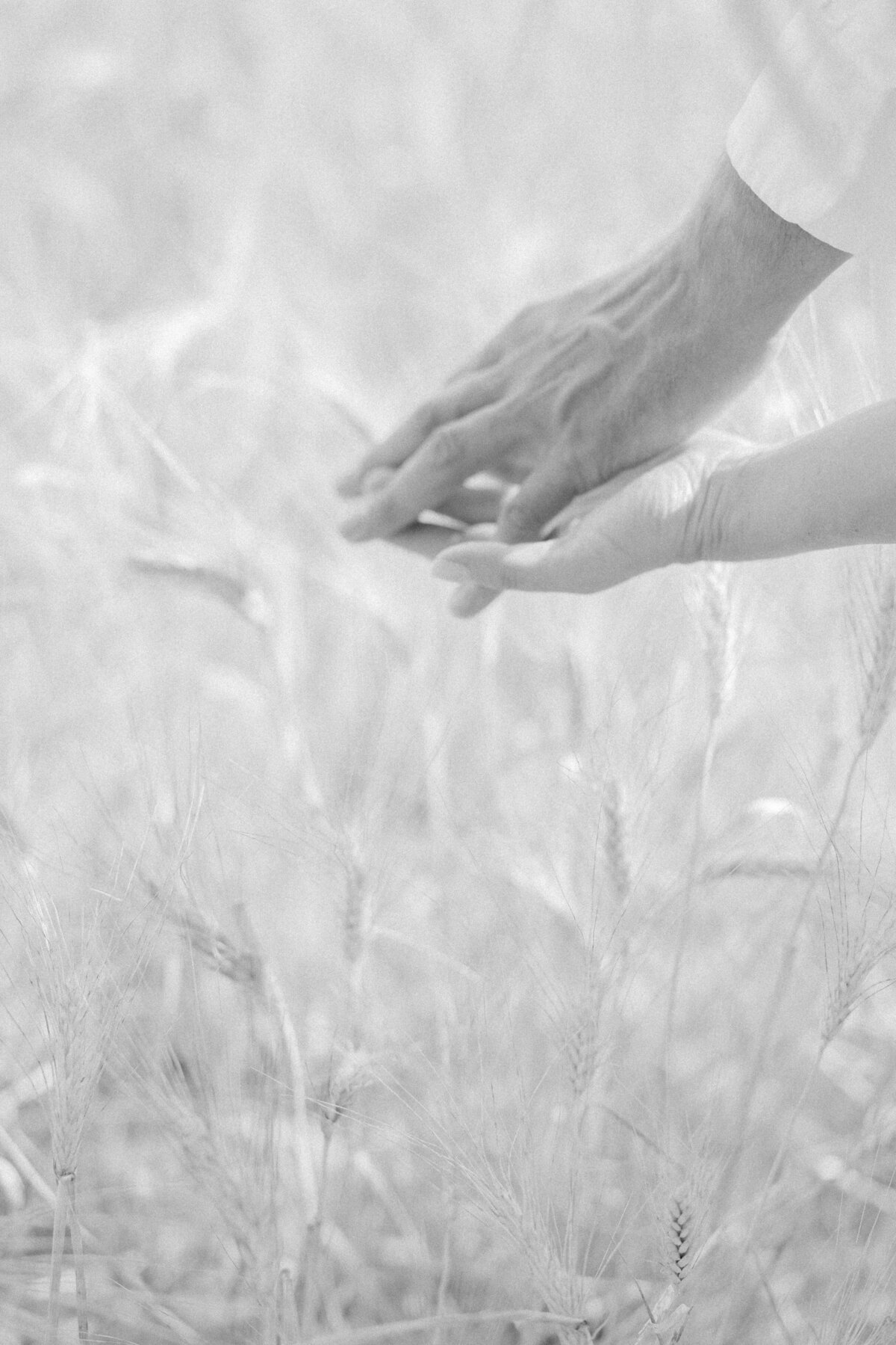 Amanda Lane Photography