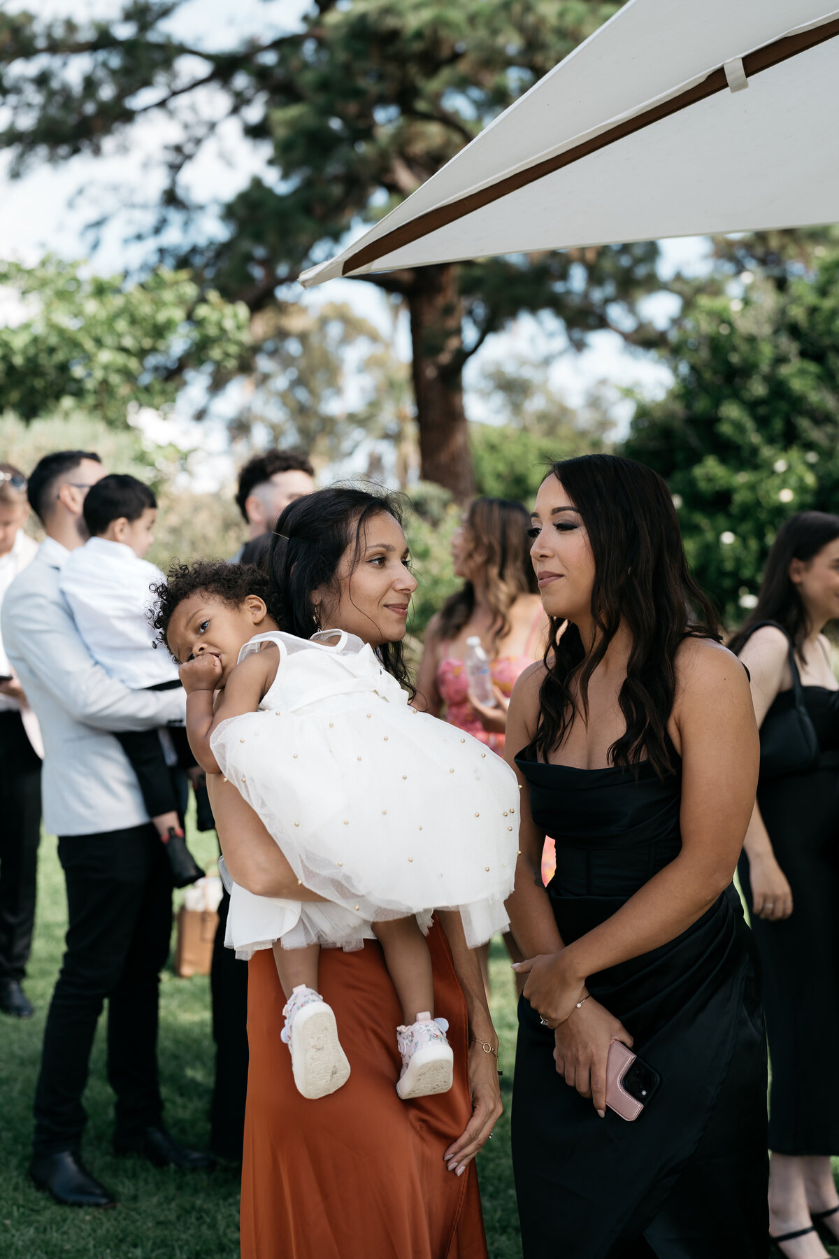 Courtney Laura Photography, Royal Botanical Gardens, The Terrace, Yarra Valley Wedding Photographer, Zoe and Sergio-183