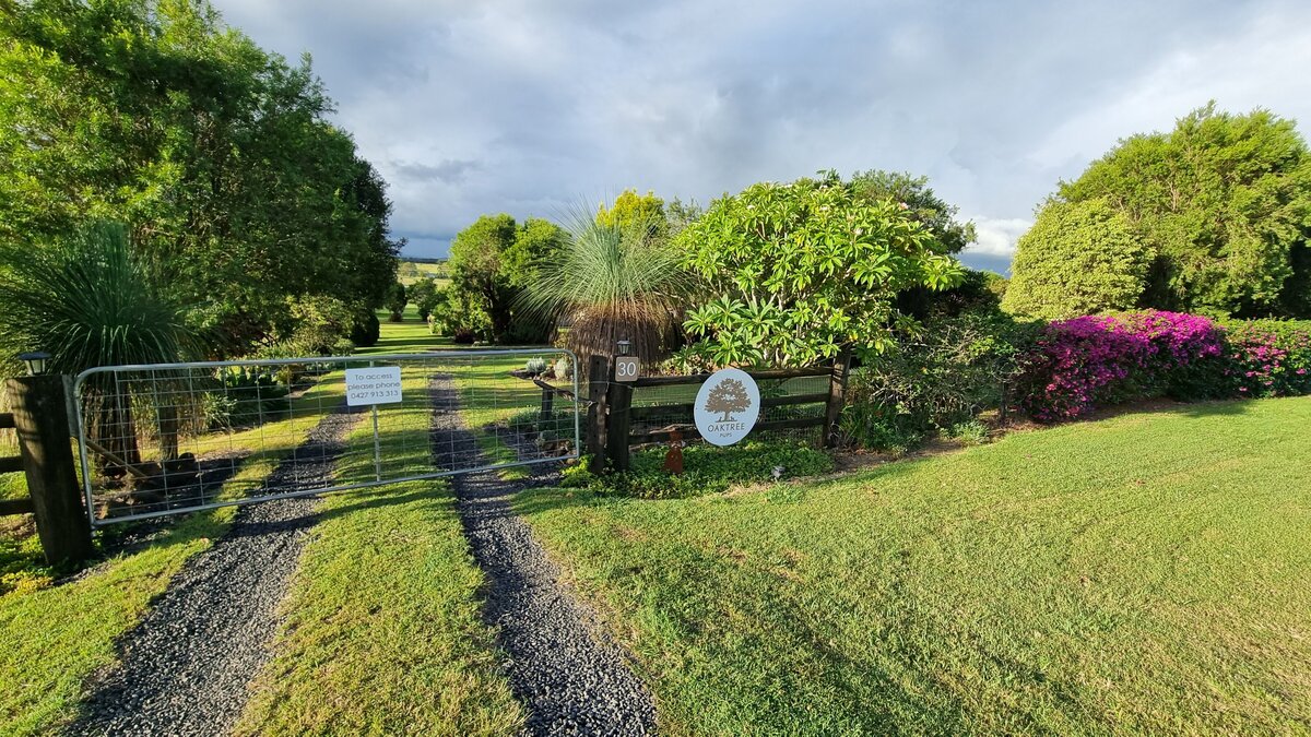 farmstay-dogs-schnoodle-breeders-schnoodle-puppies-nsw17