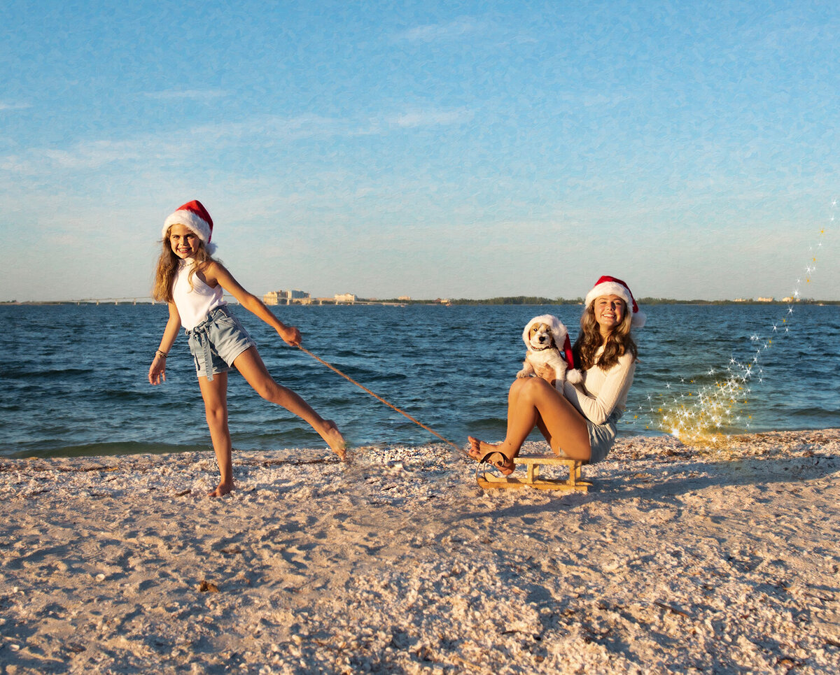 Beach pictures sanibel island christmas