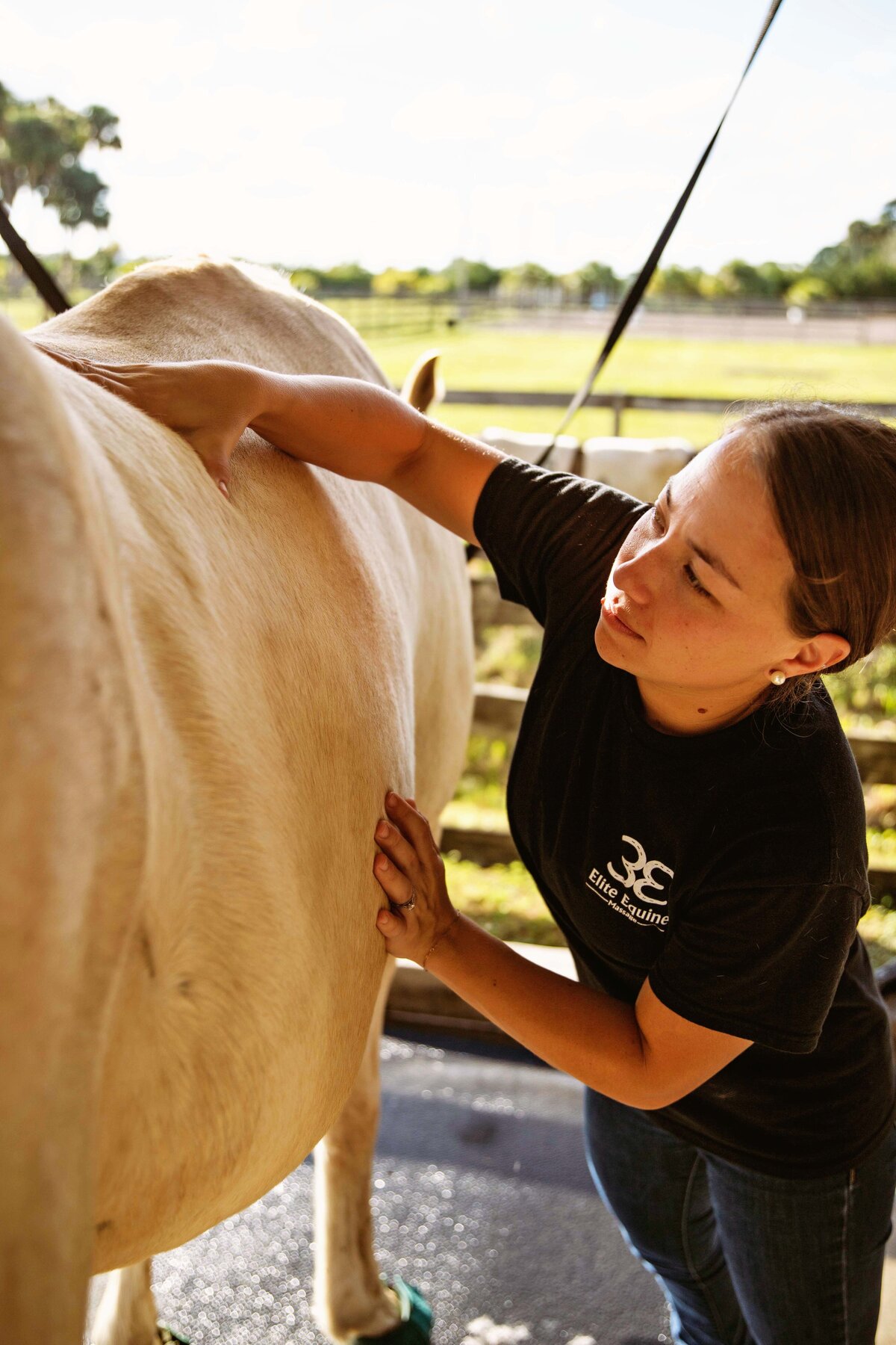 animal care photographer in vero beach florida