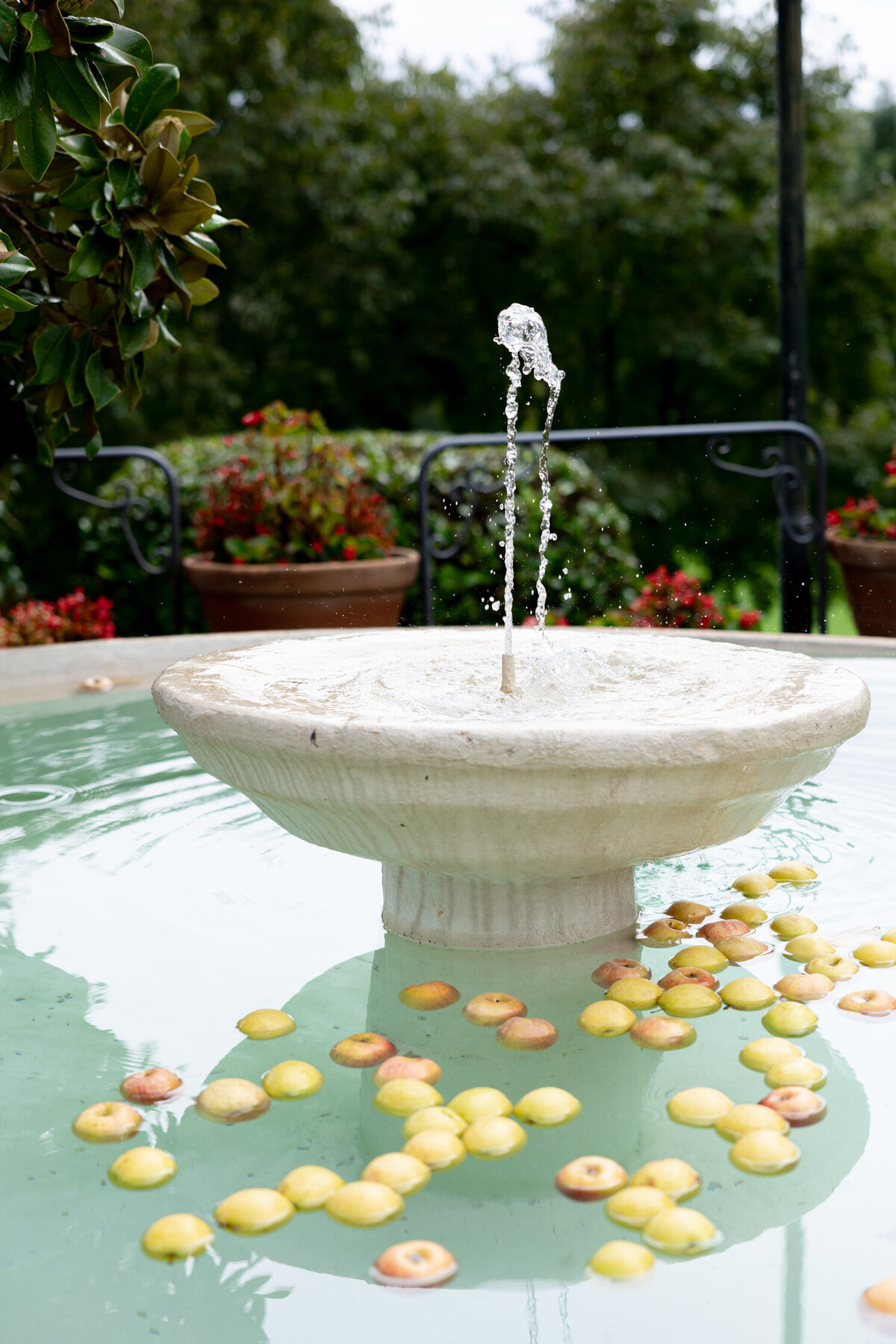 wedding photographer spain barcelona-146