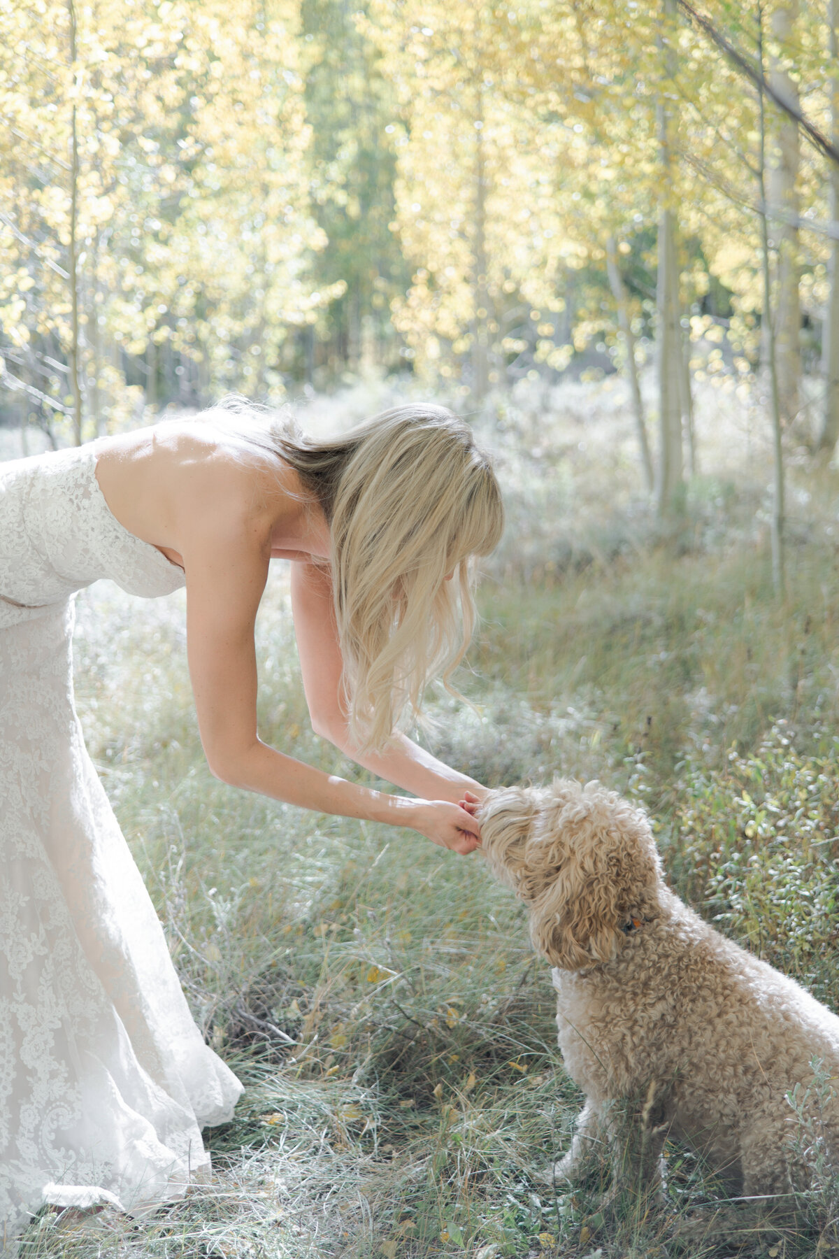 BEN-LACI-ASPEN_WEDDING-228