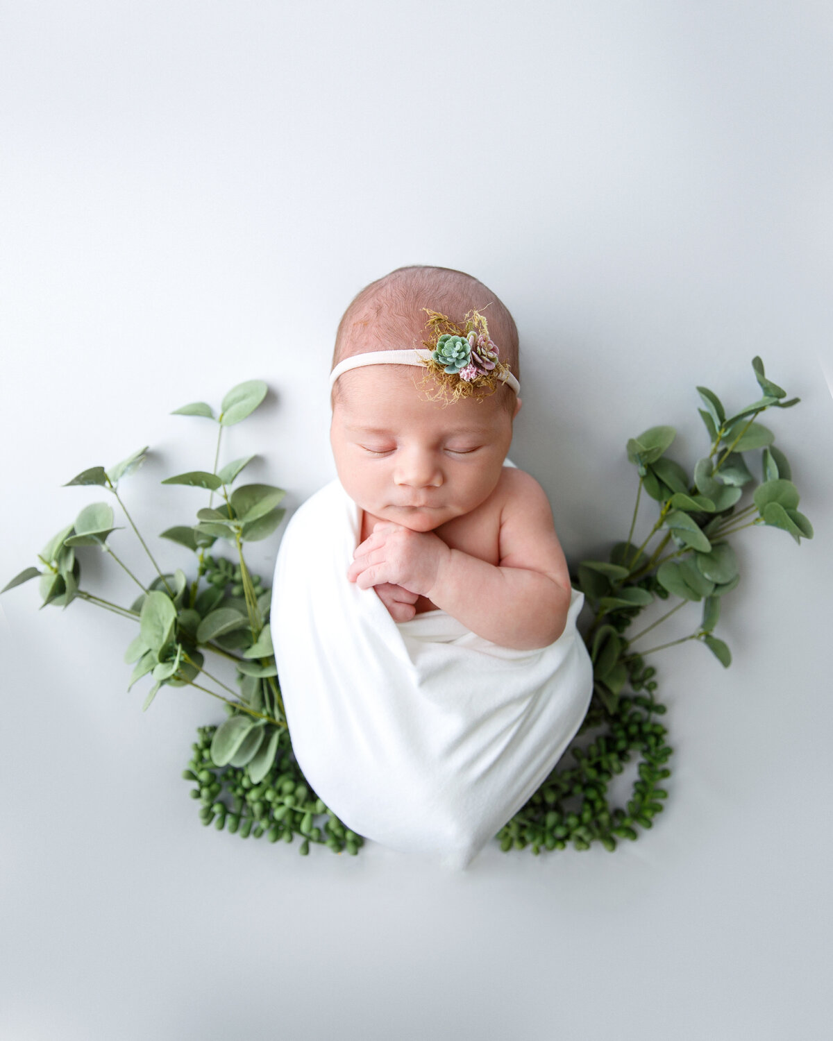 Portrait of a newborn wrapped in a white cheesecloth scarf and laying on a eucalyptus branch