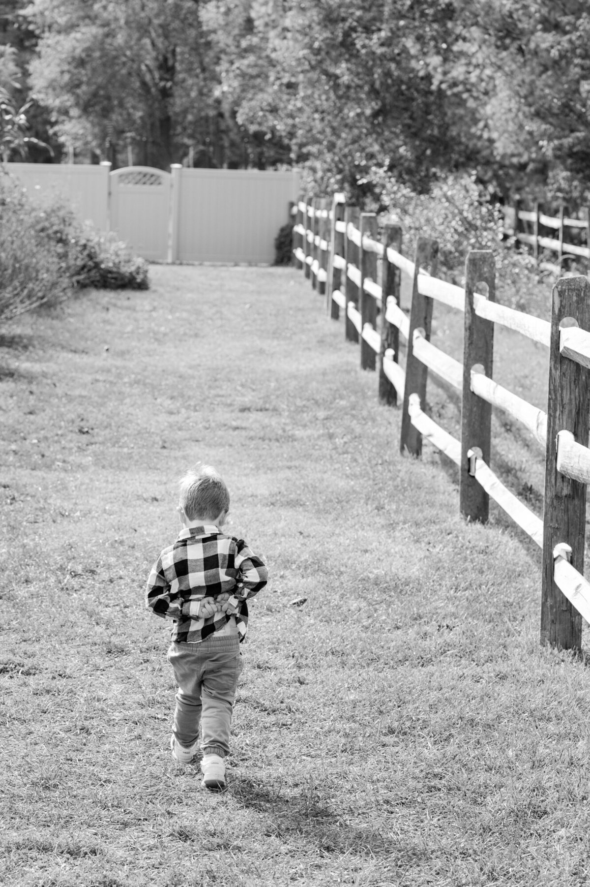 weston-connecticut-family-photography-2