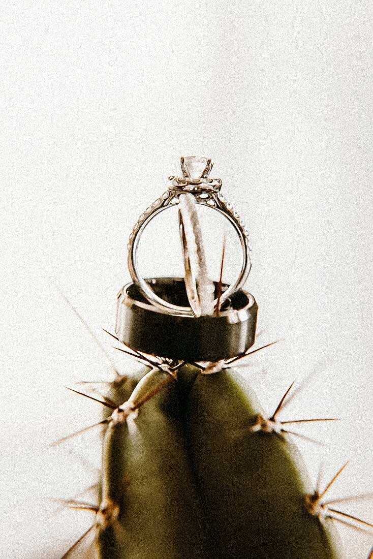 cactus-ring-shot-st-louis-grainy-fine-art-photographer