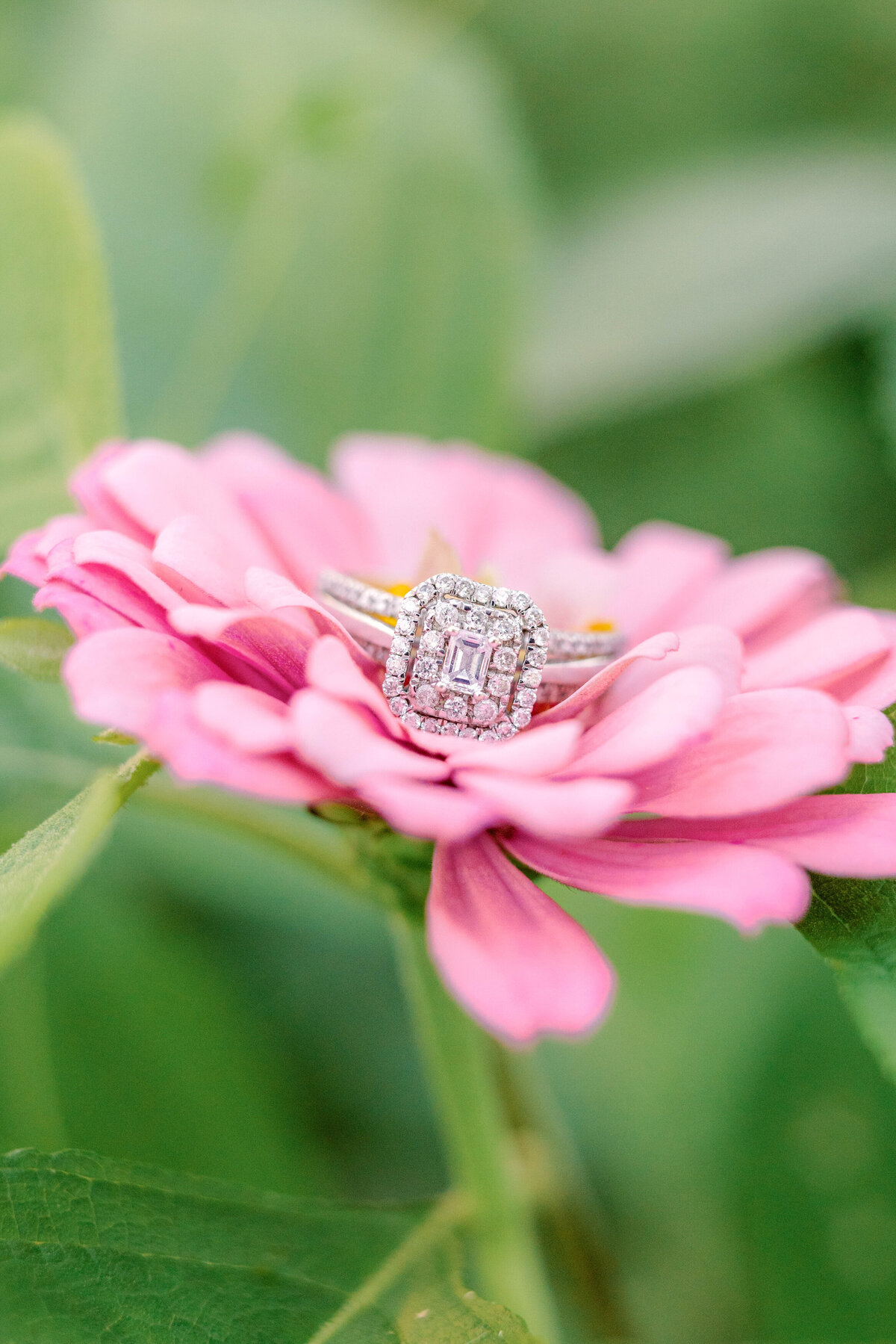 Matthew & Hannah-Engagement-Owl & Moon Venue-62