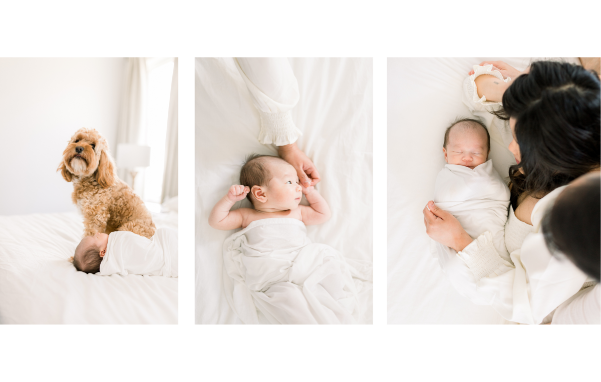 Hamilton Newborn Photography