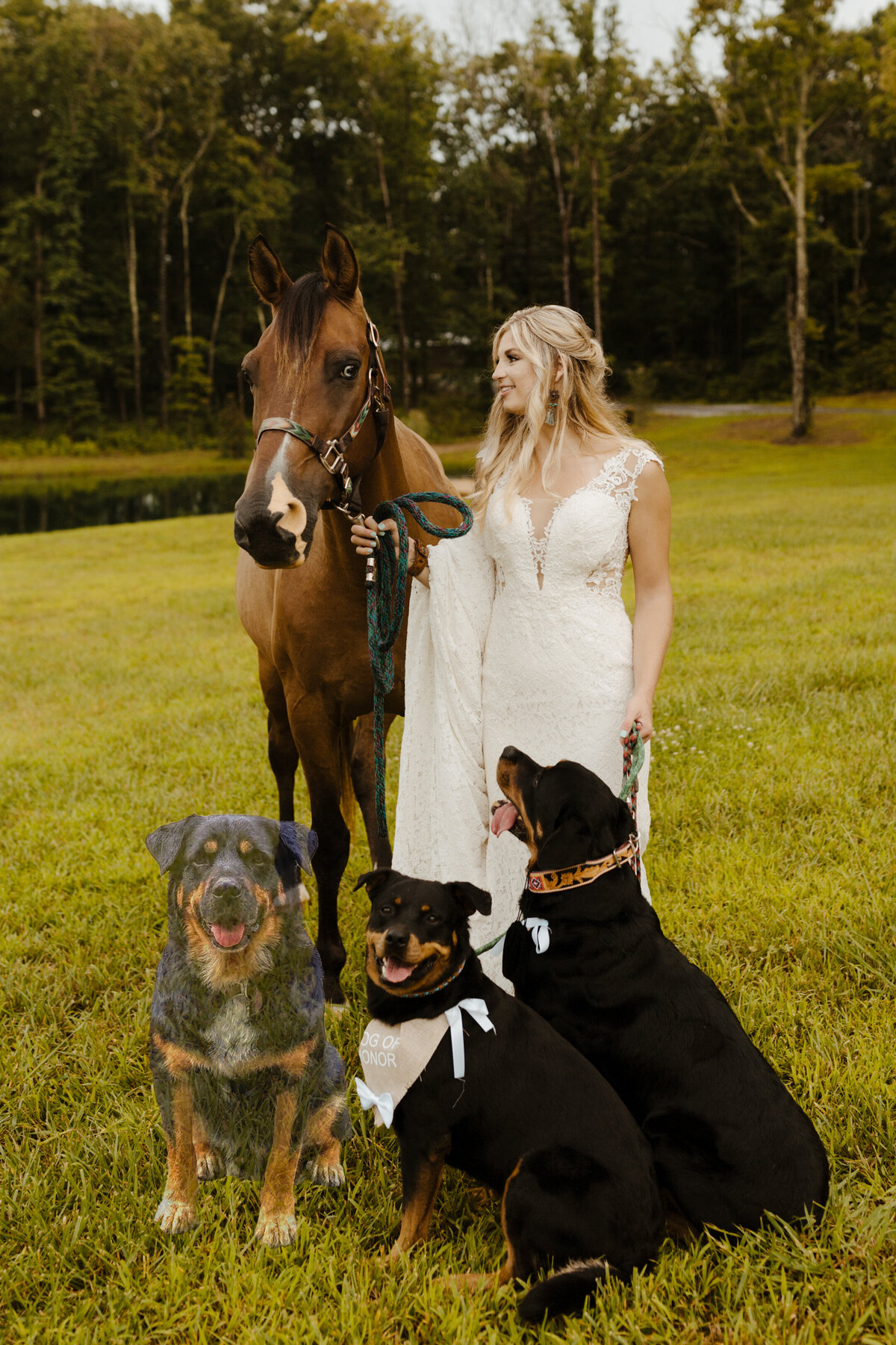 colorado-wedding-photographer-in-soddy-daisy-tennessee-at-mountain-heights-venue-near-nashville-horse-dog-lake-barn-468