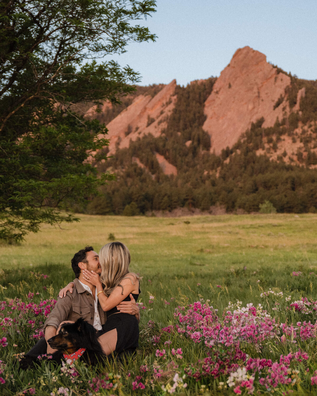 Couple kisses surrounded by summer wildflowers in front of the flatirons in Boulder